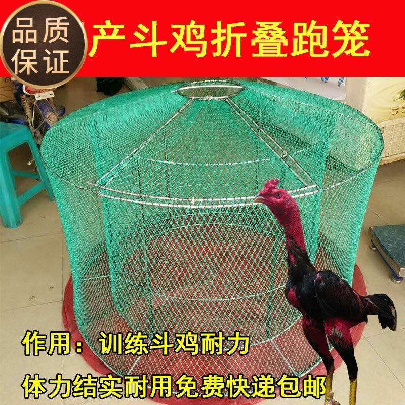 斗鸡斗鸡用品斗鸡跑笼斗鸡折叠跑笼斗鸡训练M用品跑笼 斗鸡折叠笼
