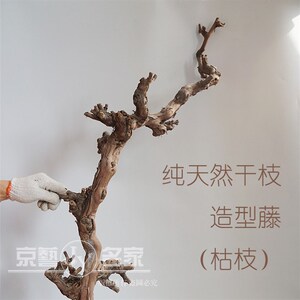 树藤枯藤山藤树枝干松针盆景用葡B萄藤条装饰梅花树干迎客松枝造