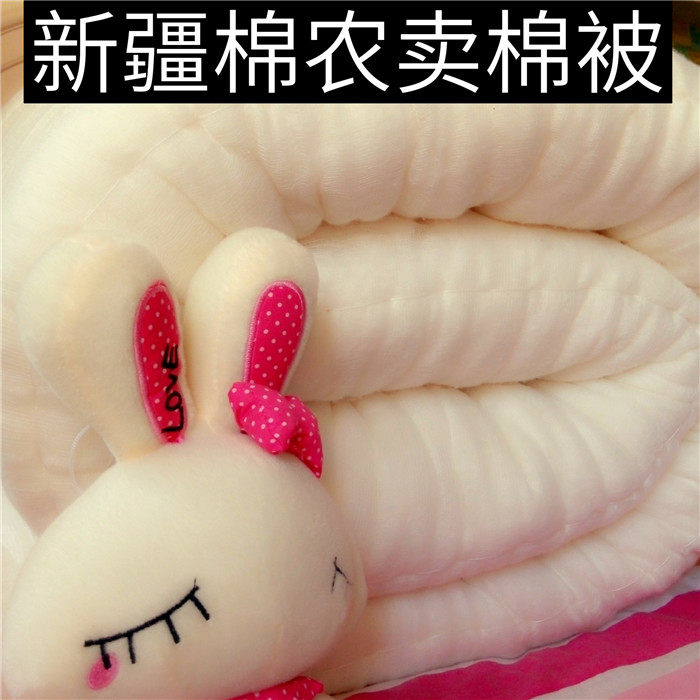 新疆纯棉花被高档被芯棉胎手工冬被褥自家种植棉花春W夏秋被可定