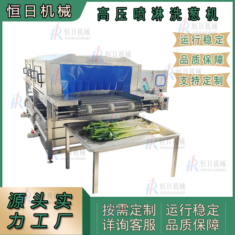 大葱小葱清洗流水线高压喷淋清洗设备高压平行喷淋清洗机大姜去泥