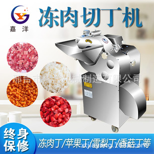 多功能高速三维果蔬切丁机 厂家直销微冻肉切丁机 商用微冻肉丁机