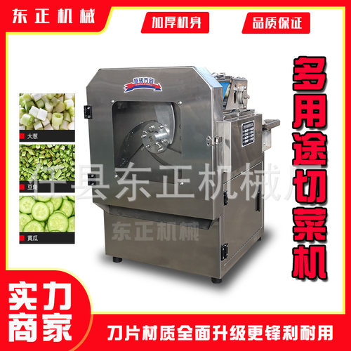 小型多功能韭菜芹菜葱花切菜机全自动商用食堂饺子店切片