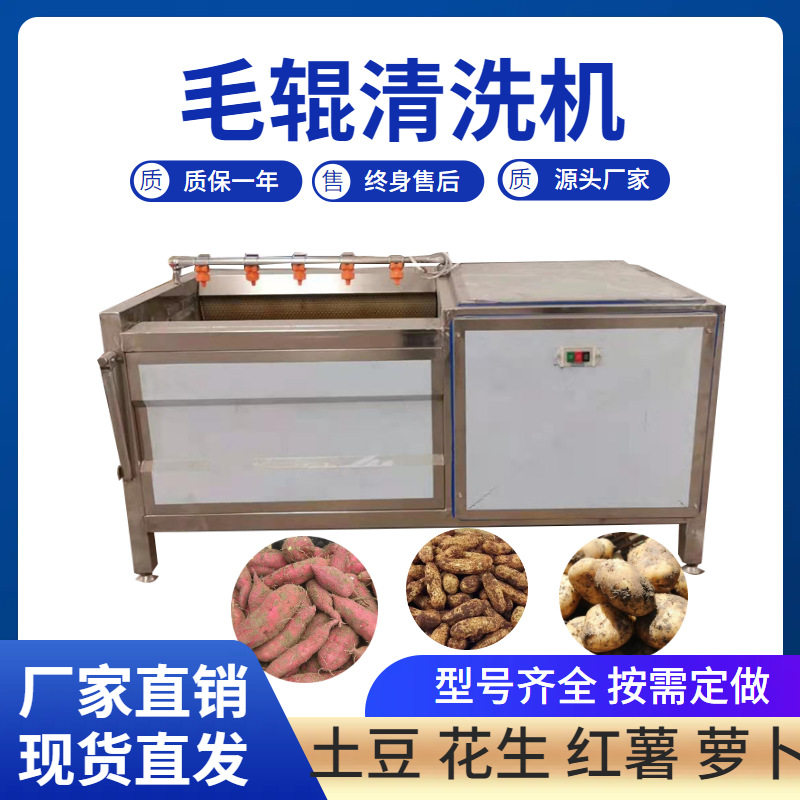 全自动毛刷清洗机 海鲜海蛎子去杂清洗设备 土豆马铃薯毛辊去皮机