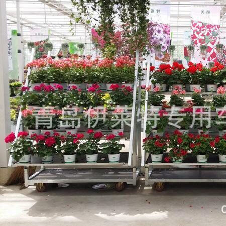 1350*565花园中心新款展示花车工具展示车花卉台车鲜花转运架