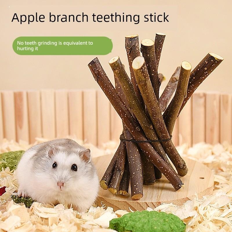 兔子磨牙棒神器专用苹果树枝龙猫