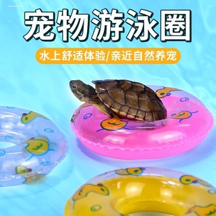 乌龟迷你游泳圈玩具宠物饲养缸晒台爬宠用品大全用具龟缸造景装饰