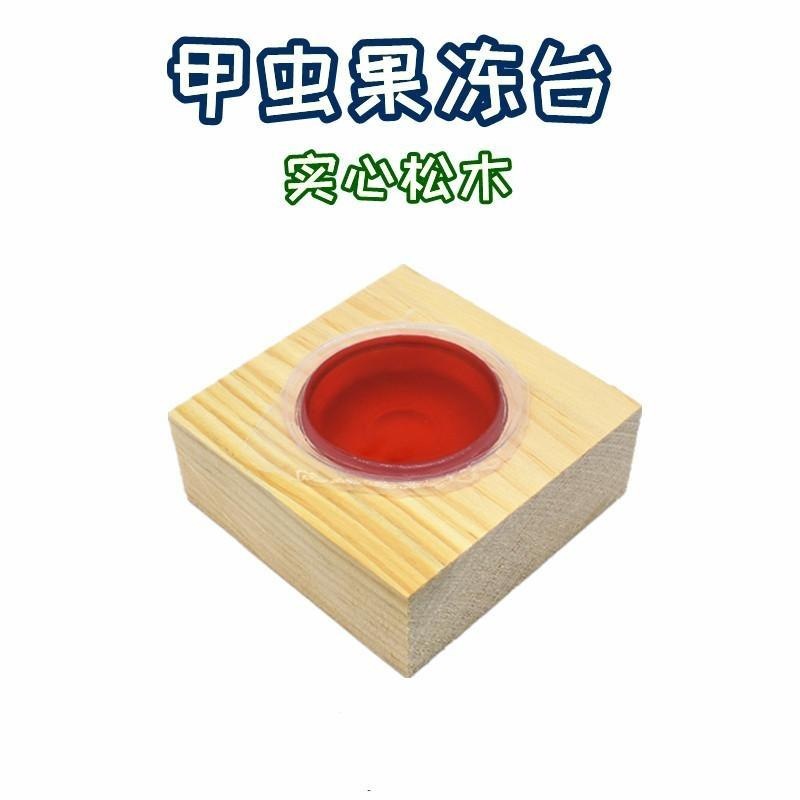 甲虫果冻台实木独角仙食物取食器