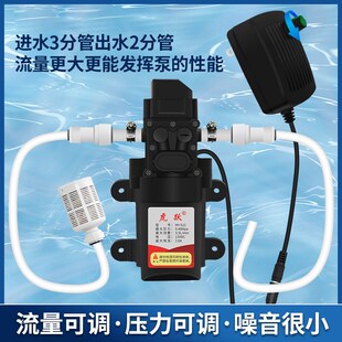 自吸隔膜增压泵净水器制冰机自动启停加压泵家用微型抽水机