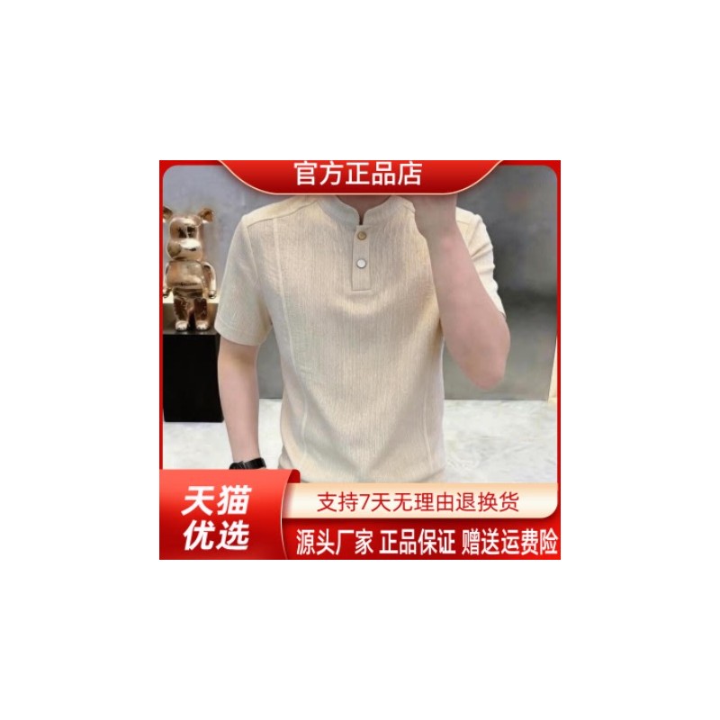 烽焱严选轻奢品质老钱高档夏季新款男士休闲国风立领短袖T恤打底