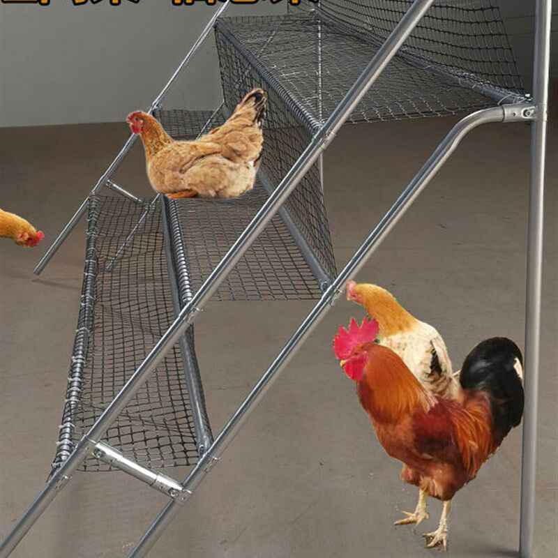 鸡栖息架鸡爬架鸡站架鸡爬梯养殖网架鸡睡觉架子鸡栖架禽类休息架