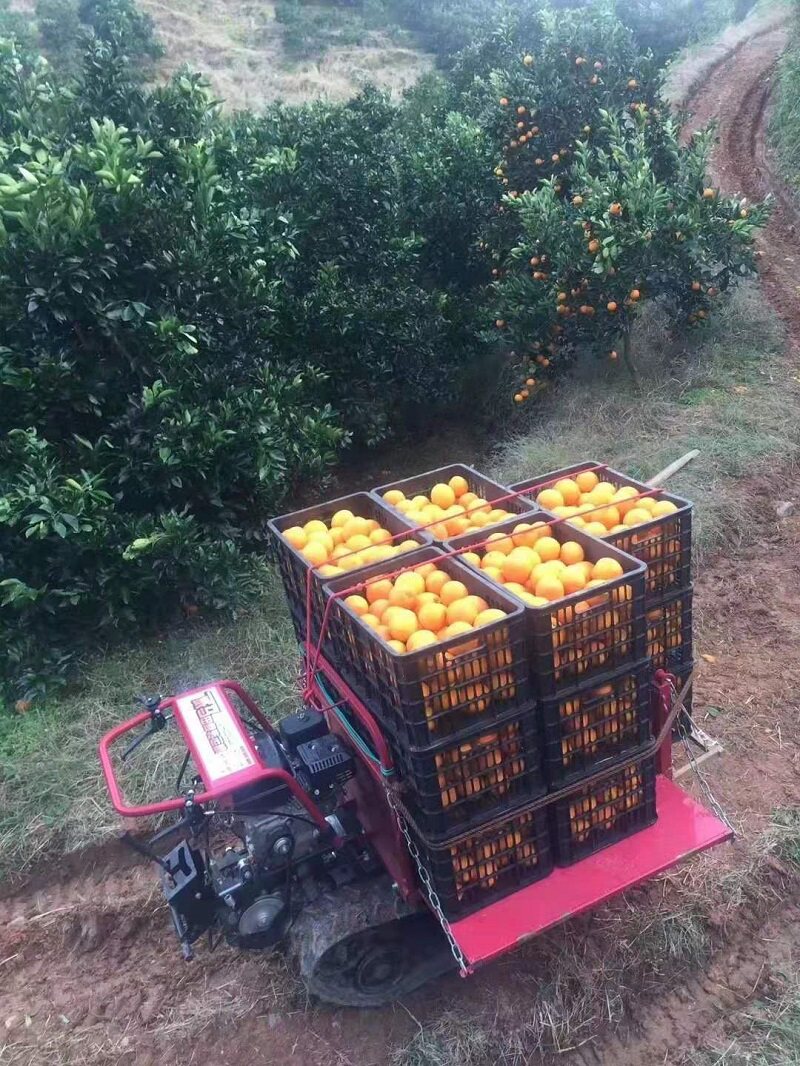 威马全地形履带式运输车小型搬运车爬山机大棚果园山地.田间转运