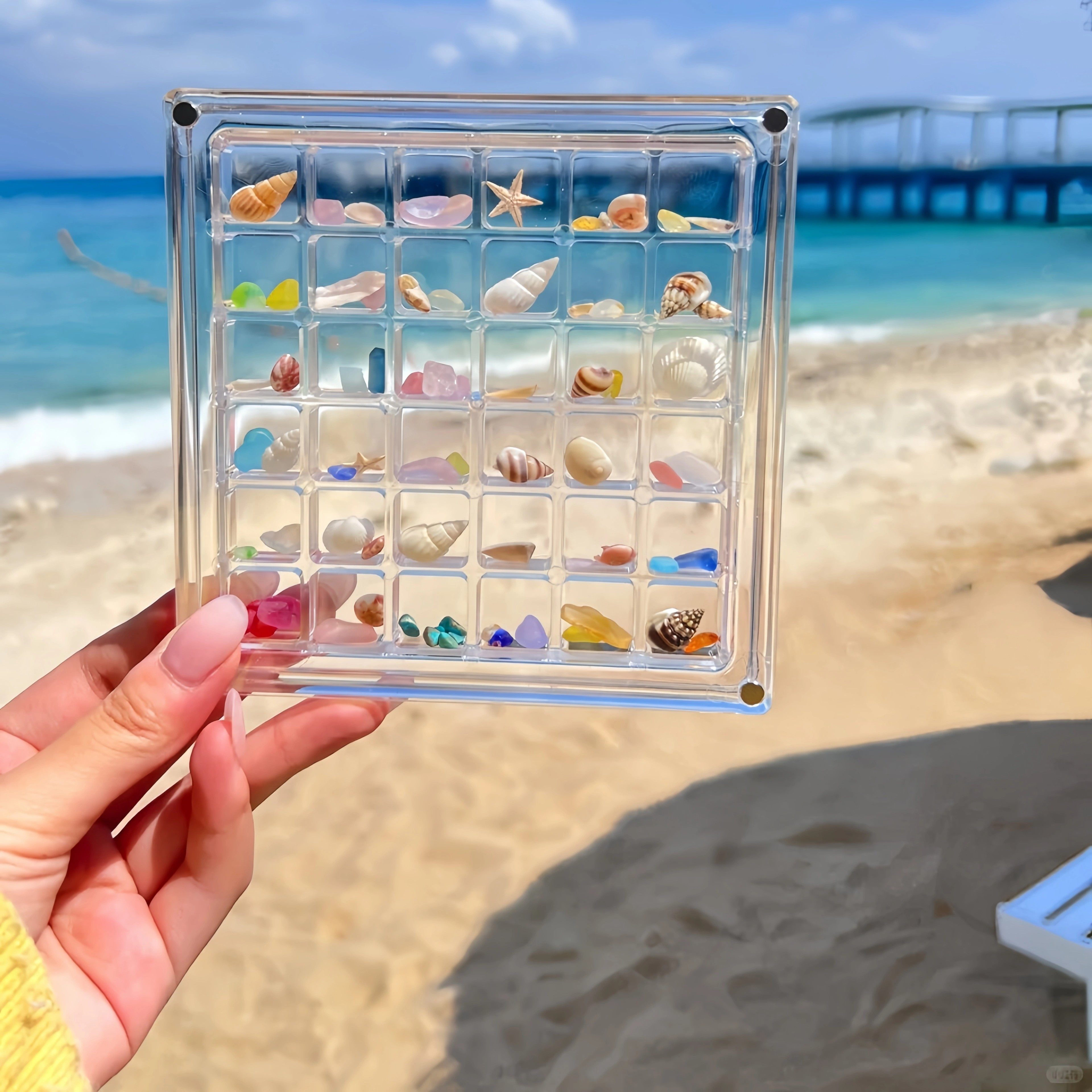 来填满这个贝壳收纳盒吧！