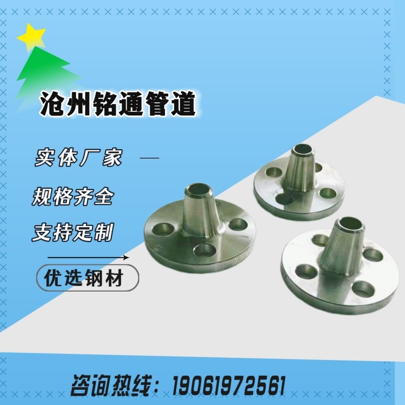 供应国标HG/T2059m2不锈钢304L带径对焊法兰WN DN100PN40 RF突面