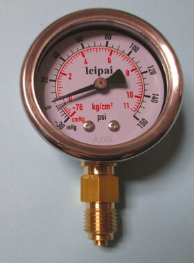 压力表 -76CMHG-11KG/CM2 -30INHG-160PSI 57mm G1/4BSP y-50p