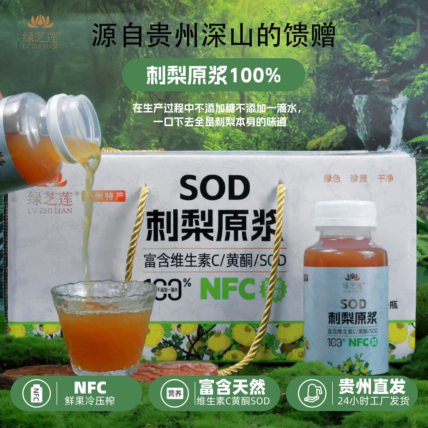 贵州刺梨原浆200ml瓶装整箱装NFC鲜果鲜榨刺梨原汁原液富含SODVP,传统滋补营养品,淘宝优惠券,粉丝福利购,淘宝优惠卷