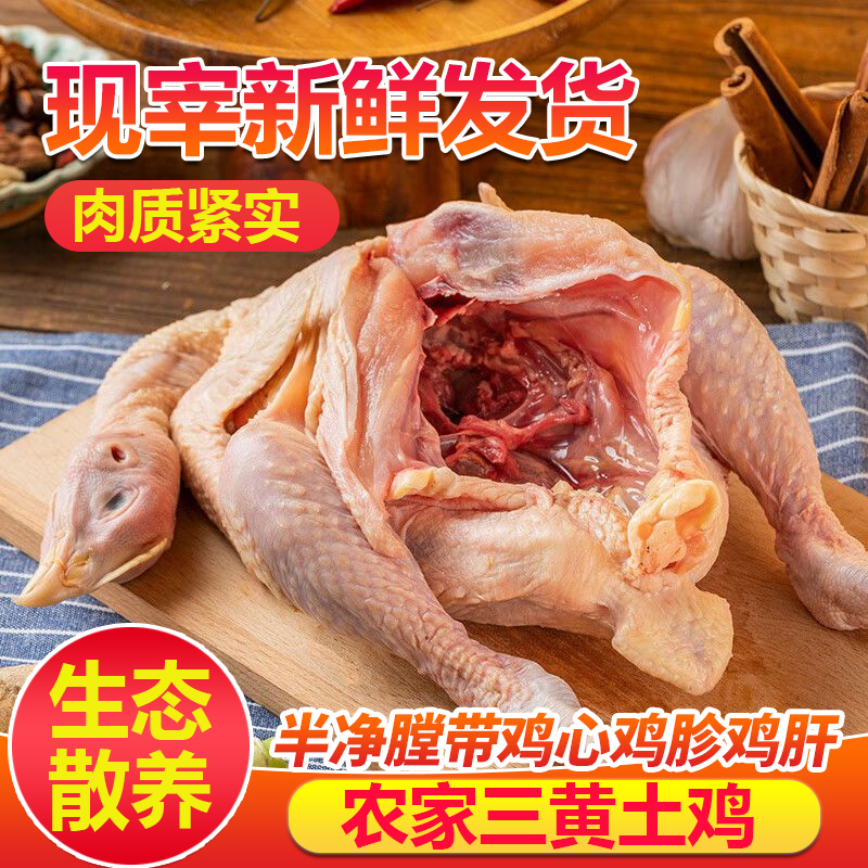 三黄童子鸡正宗整只农家散养三黄鸡净膛整鸡生鲜食材冻鸡冷链包邮