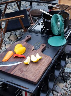 TNR户外星光折叠桌露营多功能野餐野营便携可拼接车载烧烤组合桌