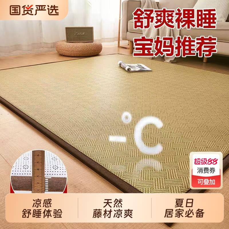 防潮直接睡地上垫地垫睡觉午睡垫家用卧室冰藤席子软垫