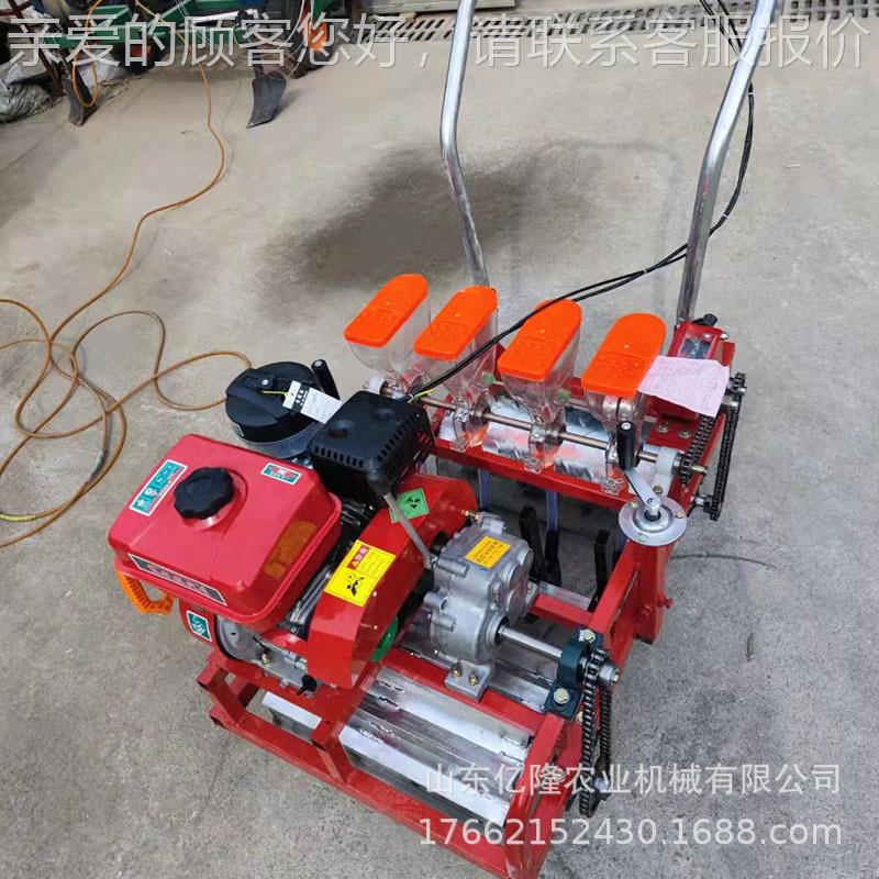 菠手推式青菜蔬菜播种机 汽油六行菜精播机 卷心菜yl-bzj大头点菜