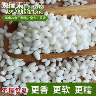贵州从江糯米新米圆粒白糯米香禾糯米包粽子糯米酿酒原料农家自种
