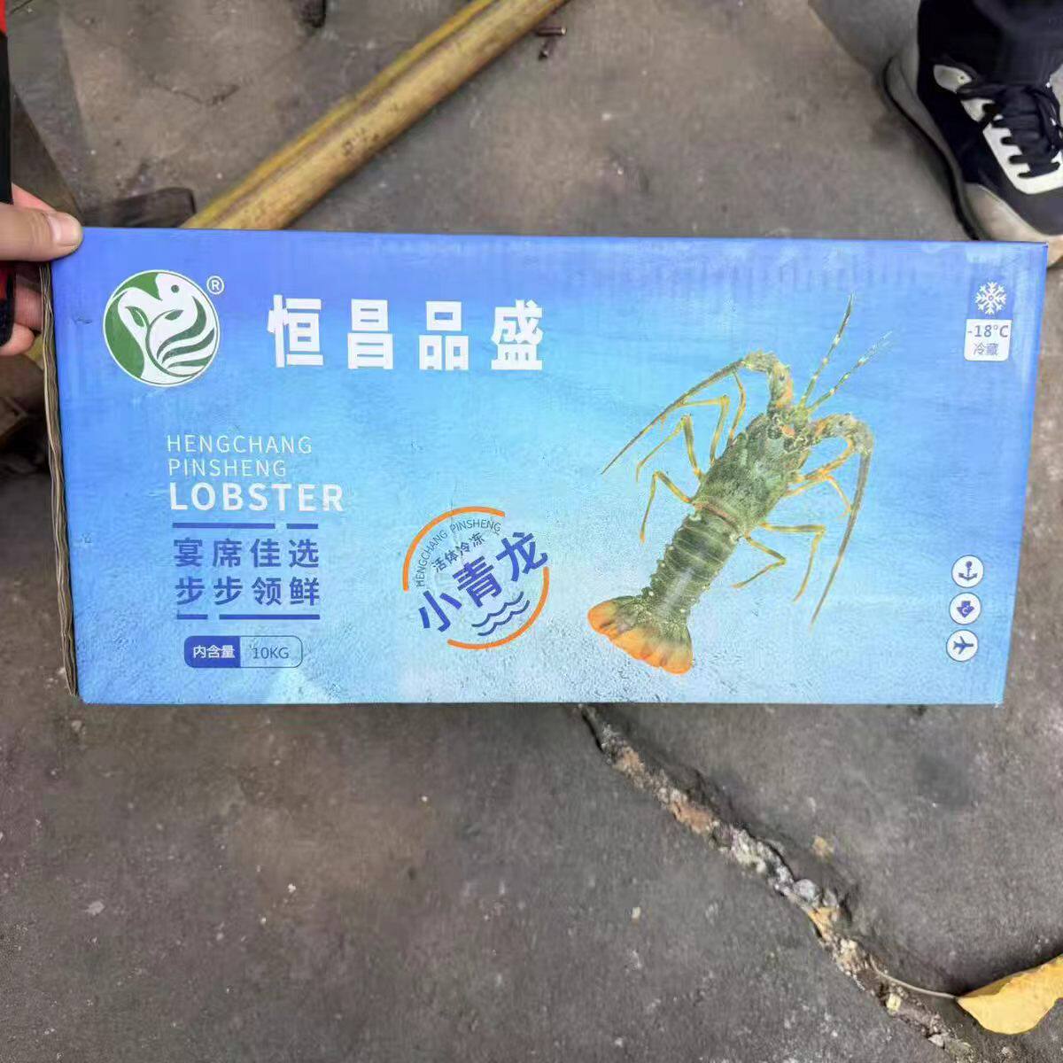 鲜冻小青龙 鲜活水产冷冻青龙仔青龙虾花龙虾特大小青龙整件20斤