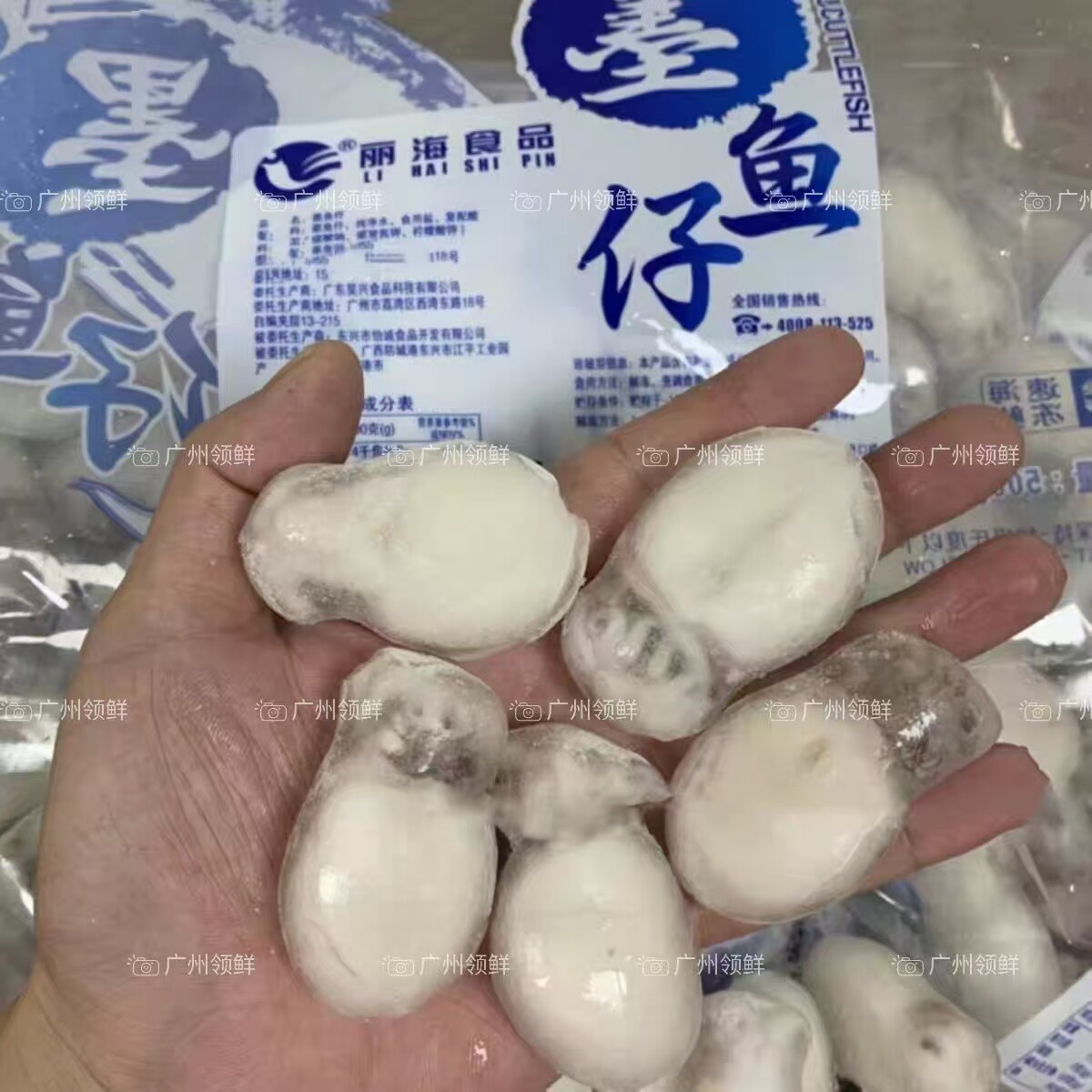 丽海单冻墨鱼仔 10斤/件 海捕活冻墨鱼仔 小乌贼小墨斗鱼