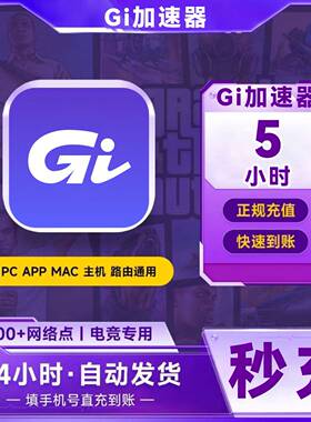 GI加速器 5-300小时 可暂停 游戏加速器