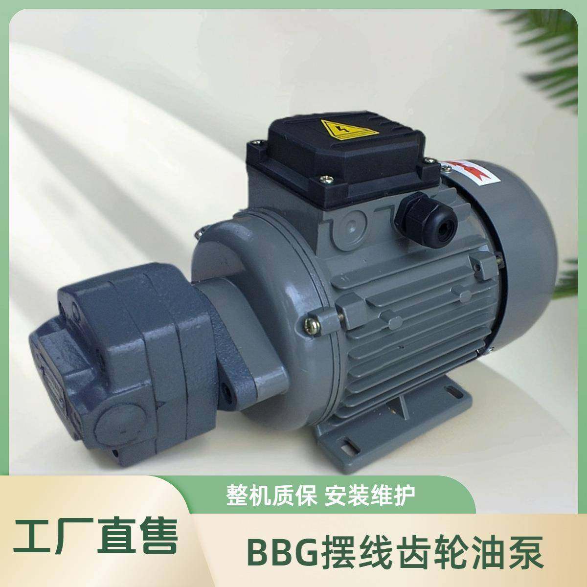 牌BB-B摆线齿轮泵牌液压泵头齿轮泵头BB-B2.5,五金/工具,其它泵类型,淘宝优惠券,粉丝福利购,淘宝优惠卷