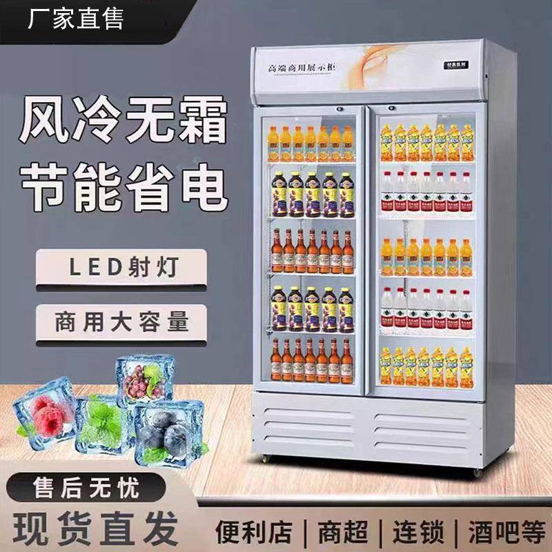 啤酒饮料冷藏展示柜商用单双门三开门网红冰柜超市酒吧立式酒水柜