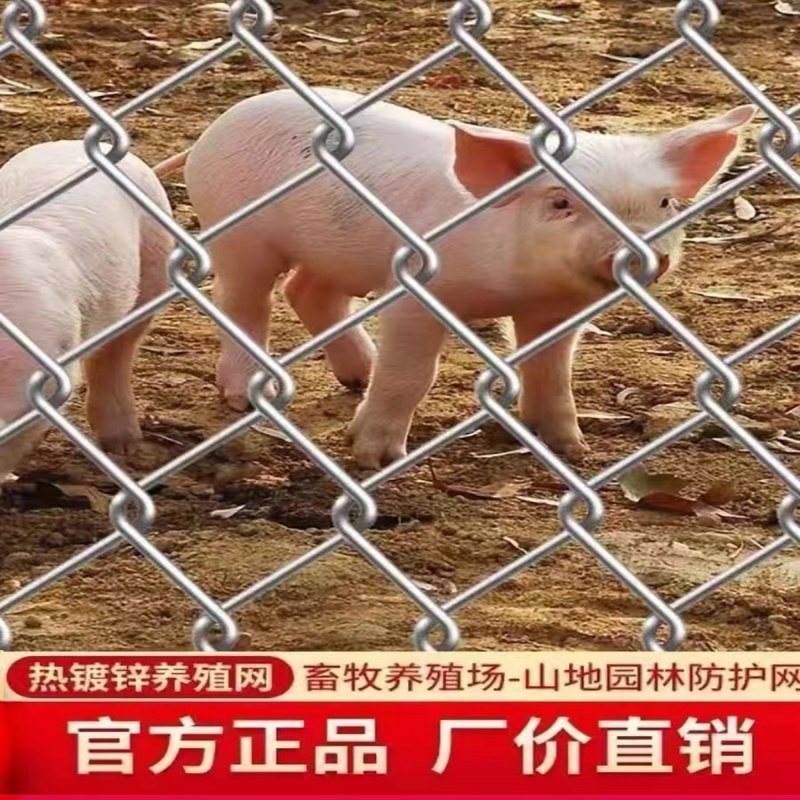 镀锌钢丝围网f养殖果园编织铁丝网牛羊圈地高品质防锈防护网勾花