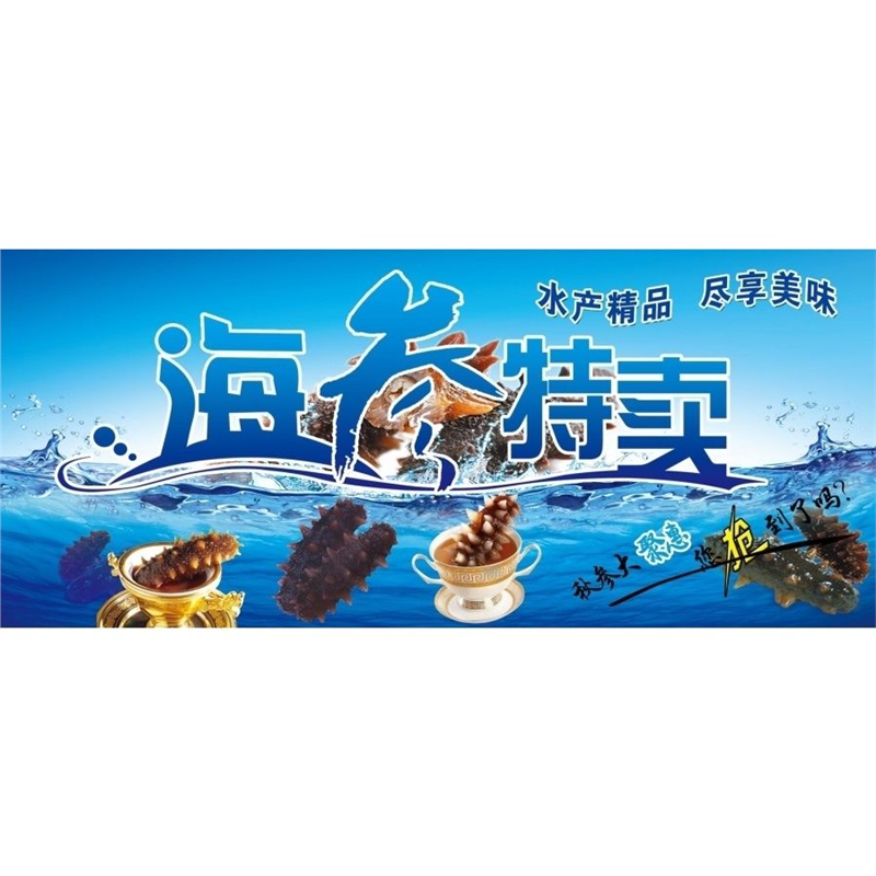 海参特卖海报展板环岛海参朝鲜野生海参海参特色养殖墙贴墙纸挂图,个性定制/设计服务/DIY,写真/海报印制,淘宝优惠券,粉丝福利购,淘宝优惠卷