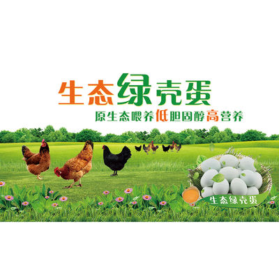 原生态乌鸡蛋海报展板特别推荐绿壳乌骨鸡蛋乌鸡蛋墙贴墙纸装饰画