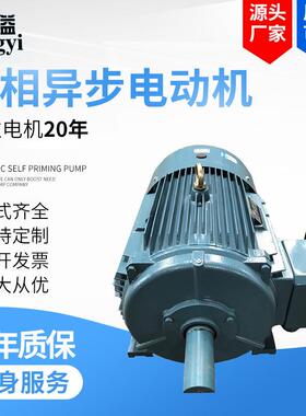 厂家直供YE4-200L-4-30W三相异步电动机交流马达380V/YE2/YX3