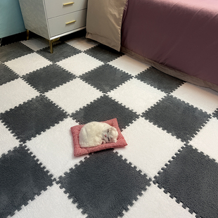 房间毛绒地毯宠物拼接泡沬地垫卧室全铺少女客厅大面积牀边毯家用