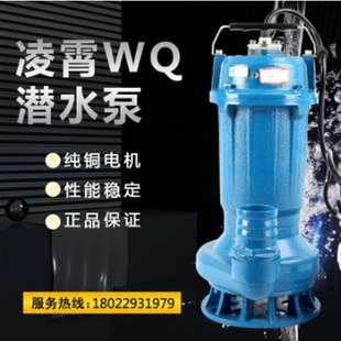 WQ广东凌霄潜污泵污水提升流量铸铁电动铜芯马达机械密封循环增压