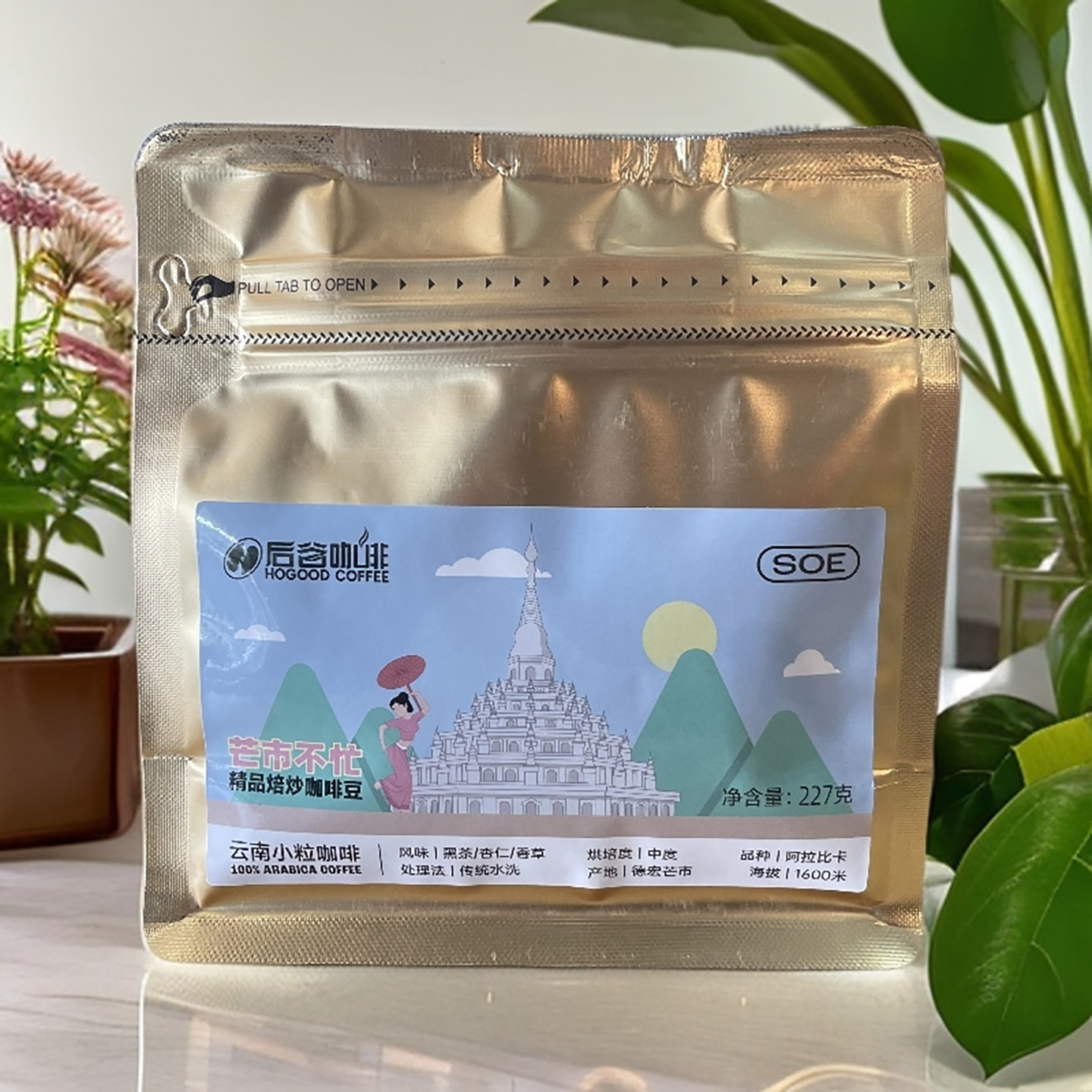 后谷咖啡云南小粒咖啡豆中度烘焙1600米特高海拔阿拉比卡种咖啡豆