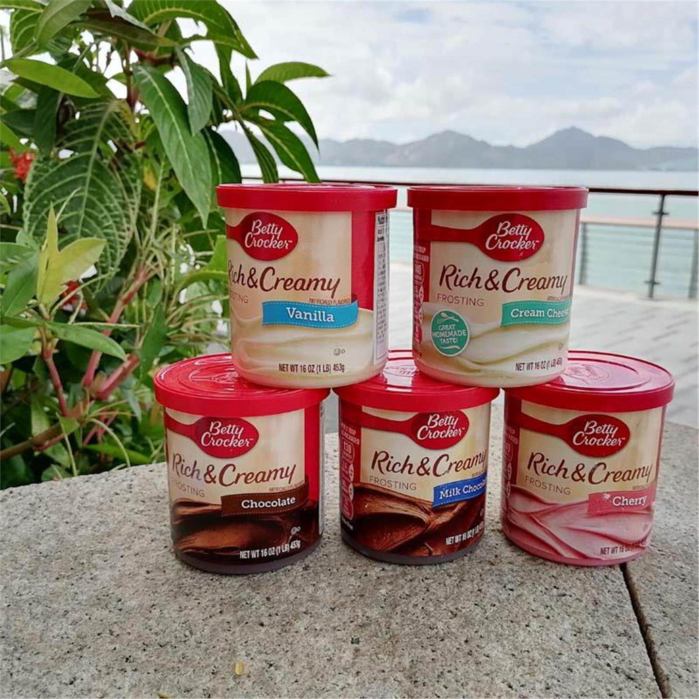 美国进口香草糖霜453g 多口味蛋糕甜点用糖霜涂层