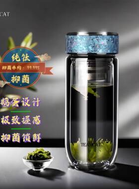 2025新款双层玻璃泡茶水杯TEAMCAT纯钛隔热高端杯男女办公车载专