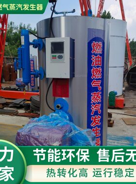 鲁通蒸馒头双层反烧60型蒸汽锅炉 定制400kg立式小型蒸汽锅炉价格
