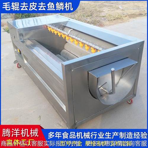 全自动螺旋毛辊清洗机 药材清洗设备 净菜加工机器