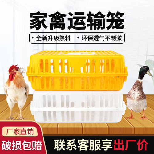 转运箱鸡笼周转箱加厚大号塑料鸡鸭运输养殖防摔家禽周转筐兔笼