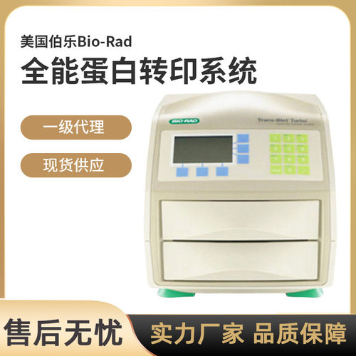 美国Bio-Rad快速伯乐蛋白全能转印Turbo系统Trans-Biot转膜仪