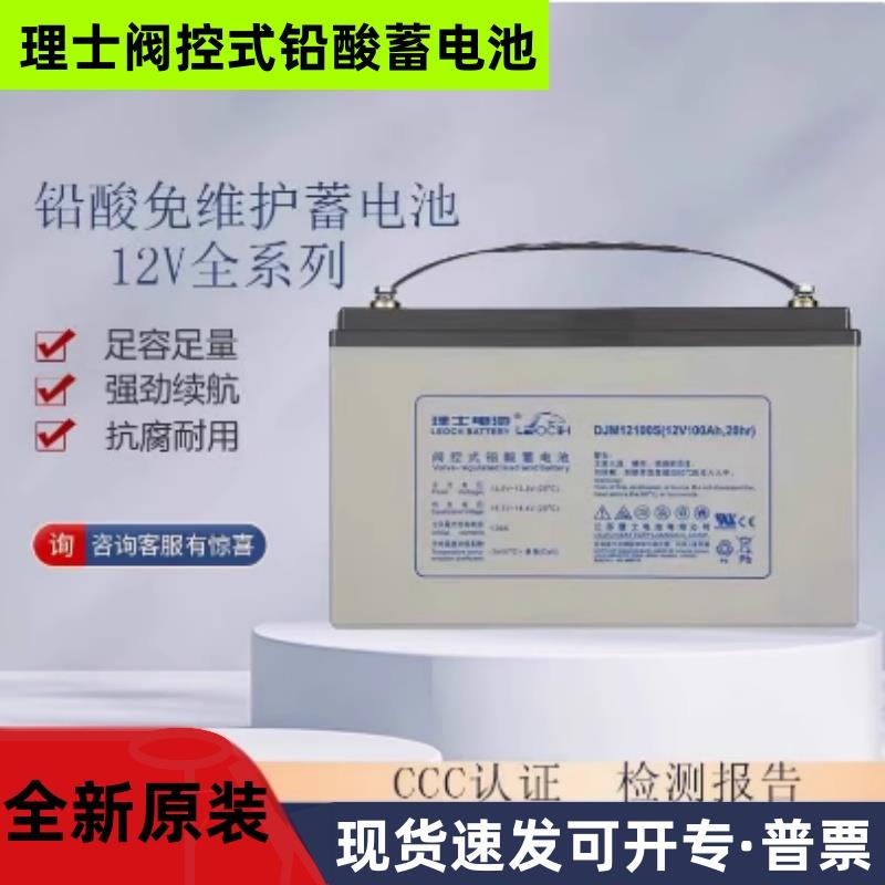 LEOCH理士蓄电池DJM12100S 12V65A38阀控式铅酸免维护UPS/EPS电源