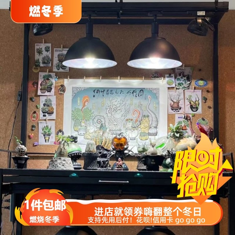 FOUND ROUNDxGASTOY块根妖怪图块根植物氛围家庭装饰画微喷版画图片