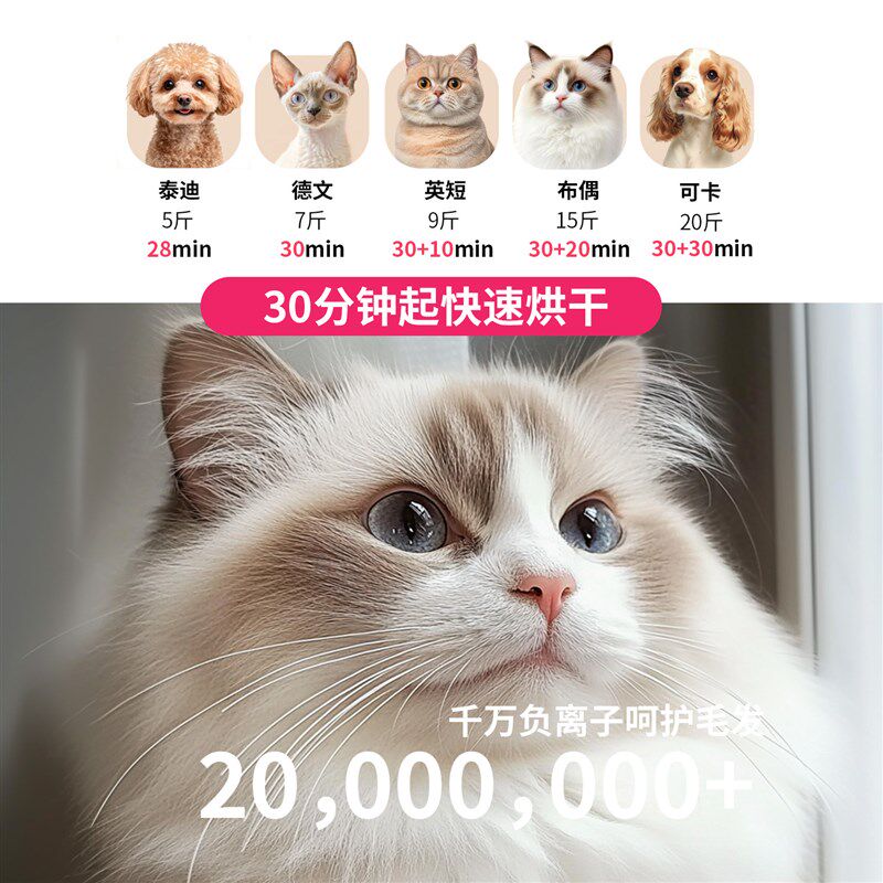 爱萌仕宠物烘干箱猫咪吹干机家用洗澡吹毛烘干神器狗狗吹风吹水