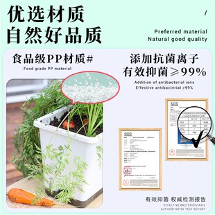 阳台种菜盆自吸水菜盆加厚加深长条盆家庭蔬菜种植箱塑料花盆 新款