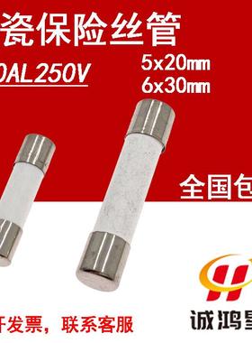 F10AL250V快熔断10A保险丝5x20/6*30mm熔断器陶瓷保险管