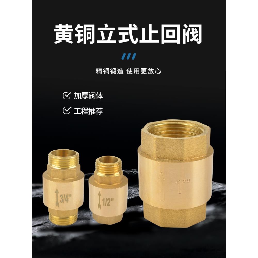 水平Ppr止回阀热熔双联铜单向阀4点6点3.0英寸25 32垂直水管配件