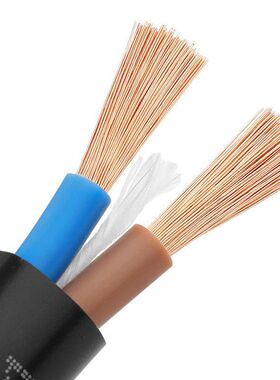 国标纯铜芯电线电缆线防水防冻2芯3芯三相工地2.546平方RVV护套线