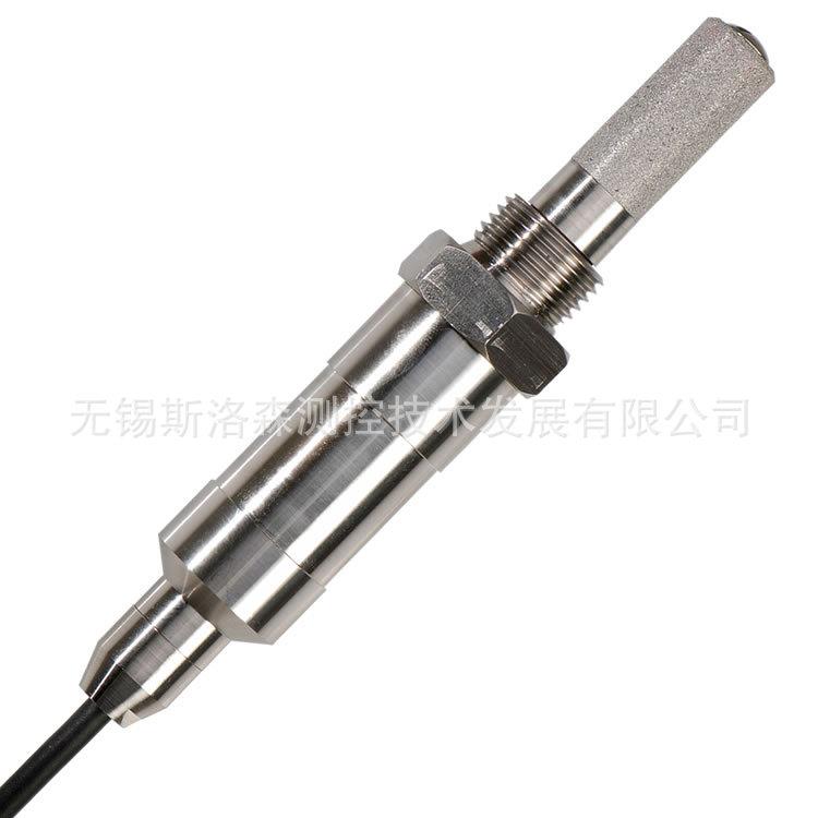 Rotronic露点探头HC2-LDP-110-EX防爆露点仪传感器探头